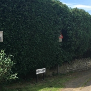 Great Doddington High Street